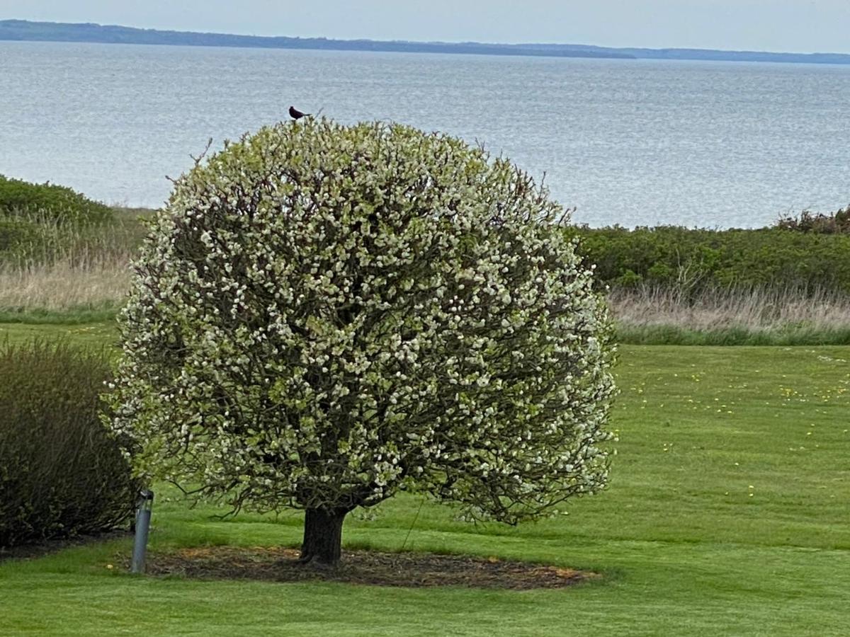 Strandhuset. Asperup 外观 照片